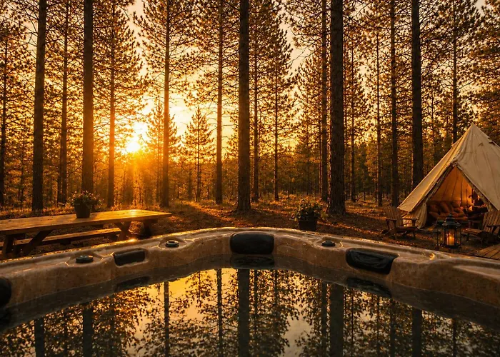 Campsite Ponderosa Pines *