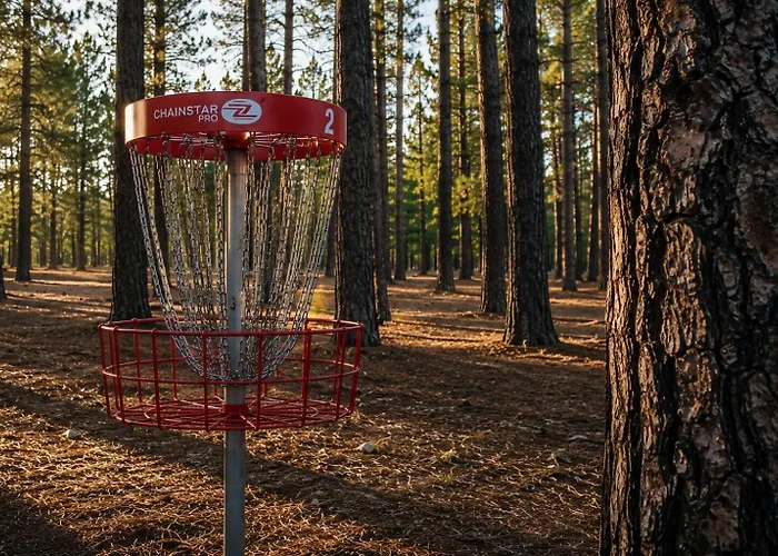 Ponderosa Pines Campsite *