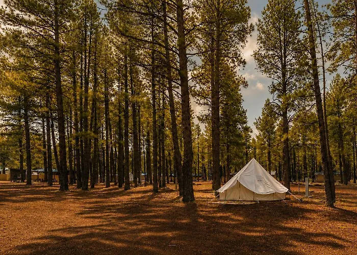 Ponderosa Pines Campsite Parks