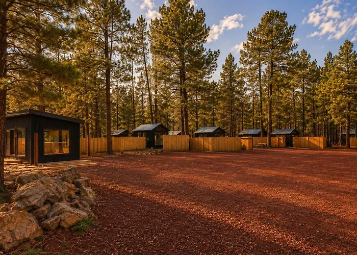 Ponderosa Pines * Parks