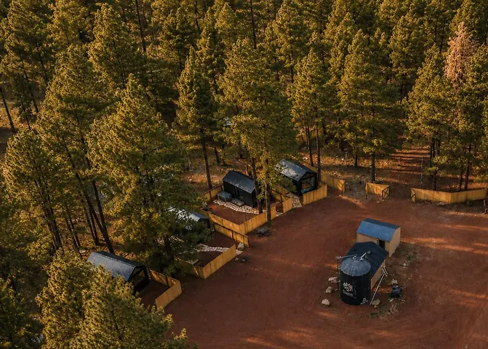 Ponderosa Pines Campsite *