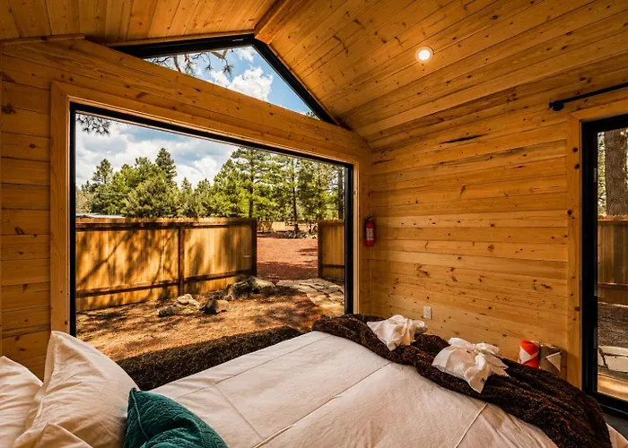 Ponderosa Pines *