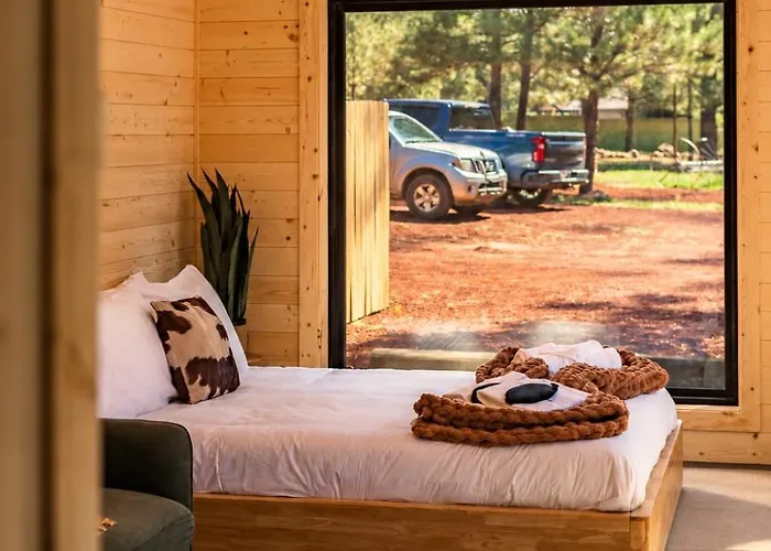 Campsite Ponderosa Pines